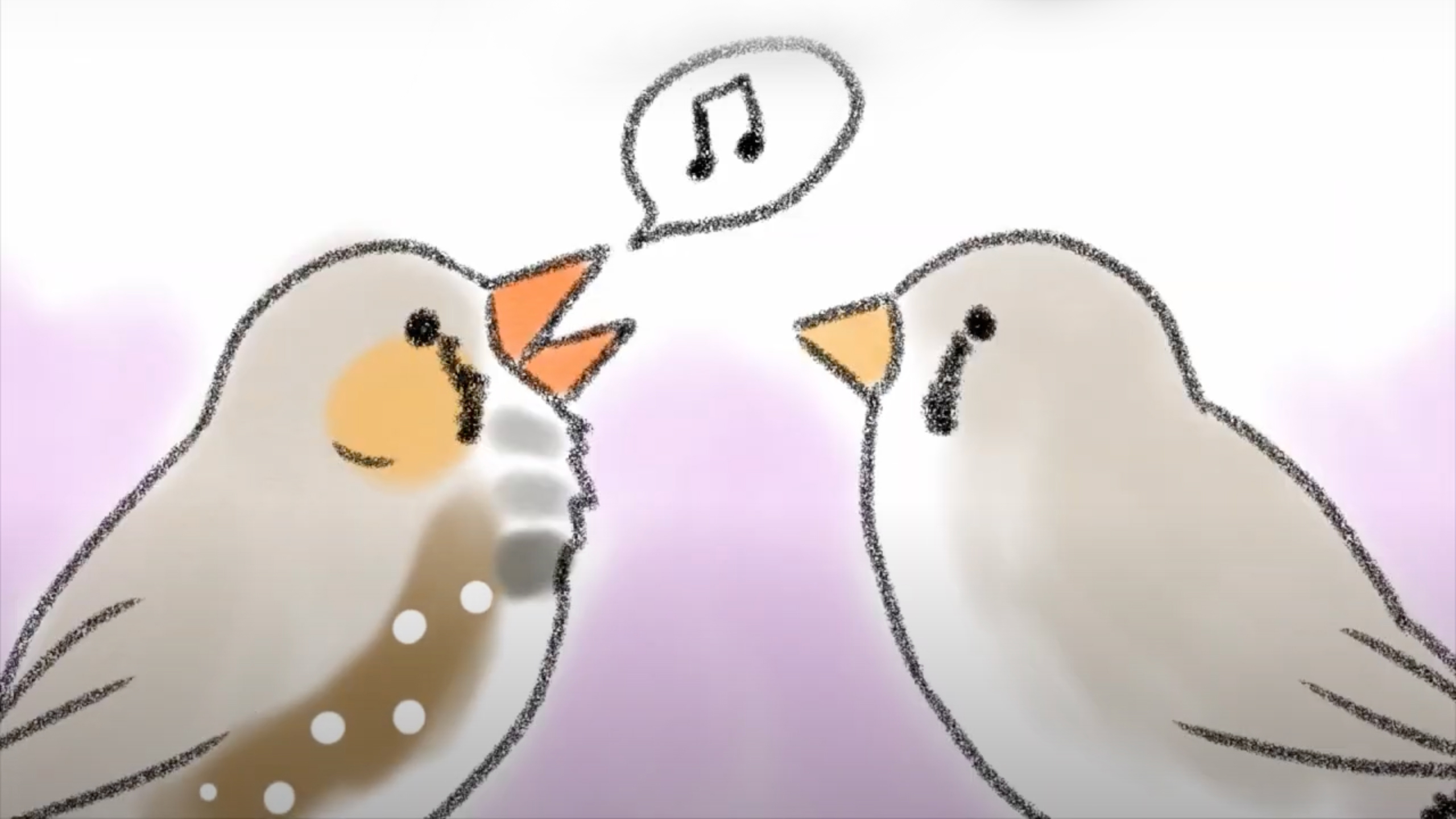 Two zebra finches on a purple background, facing each other with a speech bubble from the one on the left with music notes to signify they are speaking to each other.