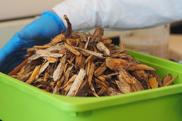 La University of British Columbia et la Première Nation Wet’suwet’en collaborent à la création d’une mousse d’emballage à partir de déchets de bois